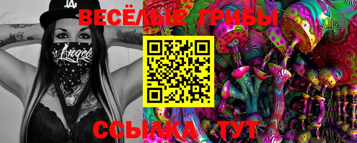 Галлюциногенные грибы Psilocybine cubensis Краснокамск