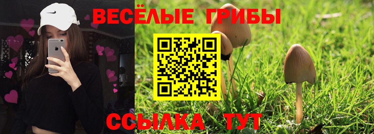 Псилоцибиновые грибы ЛСД  Вход с VPN  Краснокамск  Галлюциногенные грибы мухоморы 